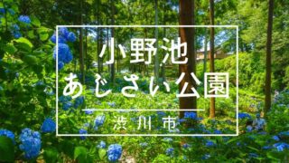 小野池あじさい公園