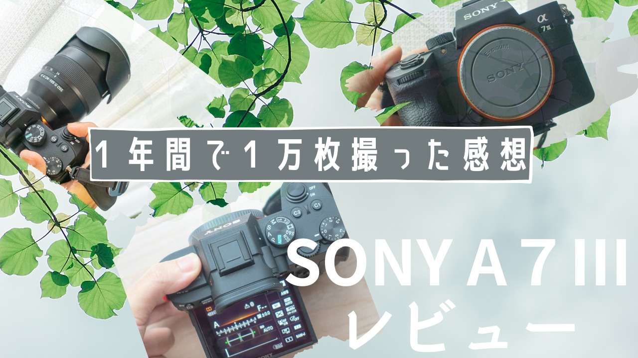 レビュー Sony A７ で１年間で１万枚撮った感想 初心者にオススメのハイコスパカメラ ぐんまでパシャリ