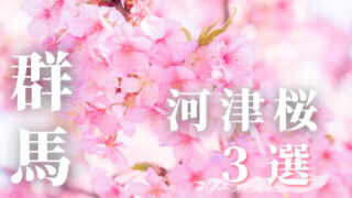 群馬の河津桜3選