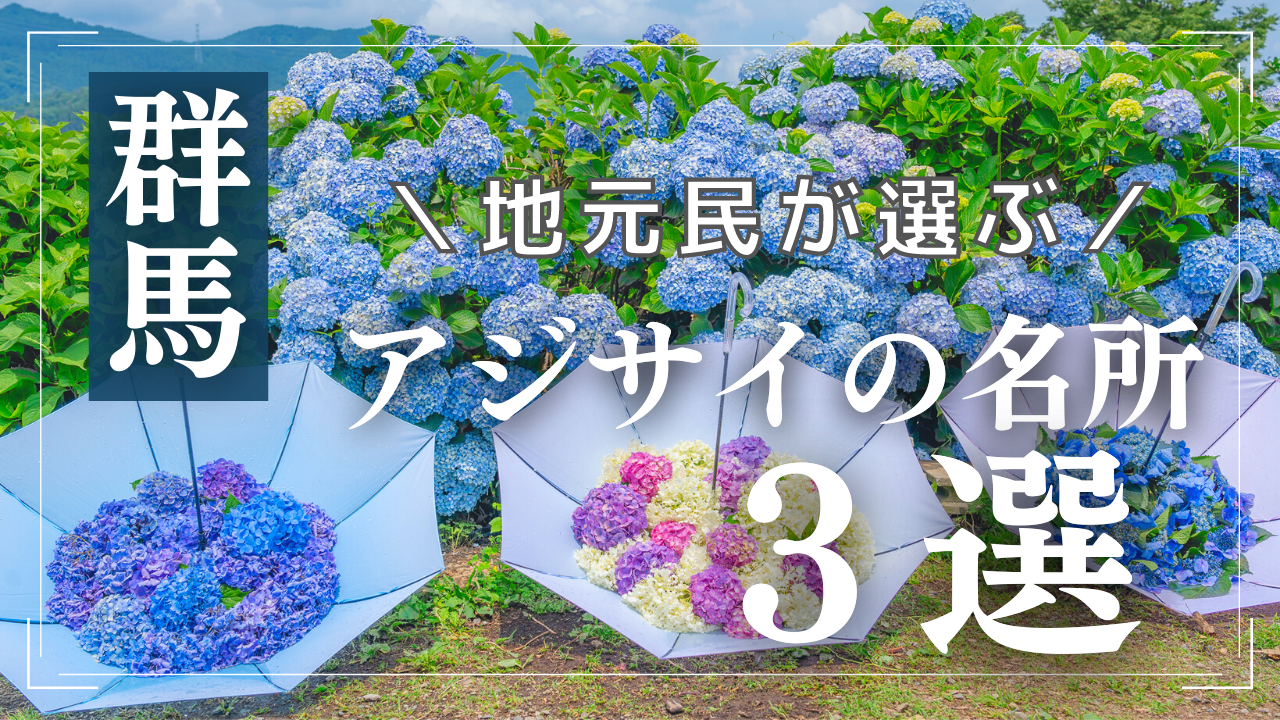 22 群馬県の紫陽花 アジサイ 名所おすすめ3選 見頃の時期 穴場は ぐんまでパシャリ 22 群馬県の紫陽花 アジサイ 名所おすすめ3選 見頃の時期 穴場は ぐんまでパシャリ