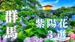群馬紫陽花3選