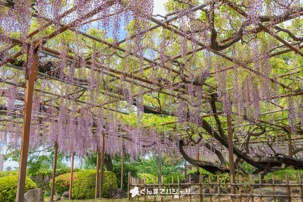 須賀の園