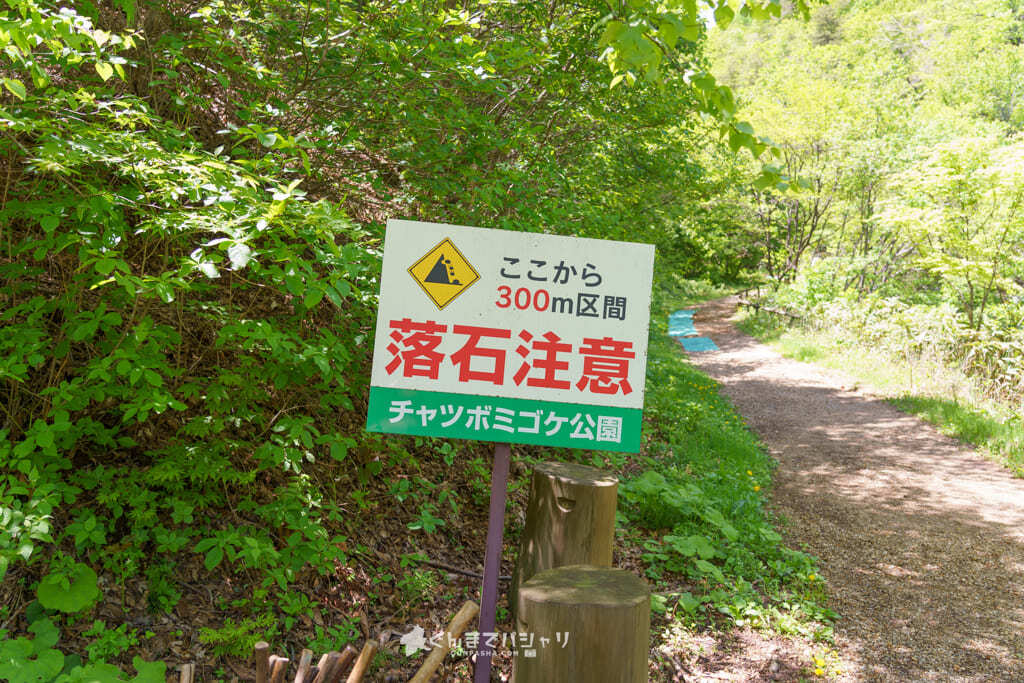 チャツボミゴケ公園のレンゲツツジが見頃 国指定天然記念物の秘境で見られる絶景が凄すぎた アクセス 料金 ぐんまでパシャリ