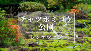 チャツボミゴケ公園
