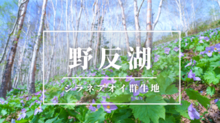野反湖
