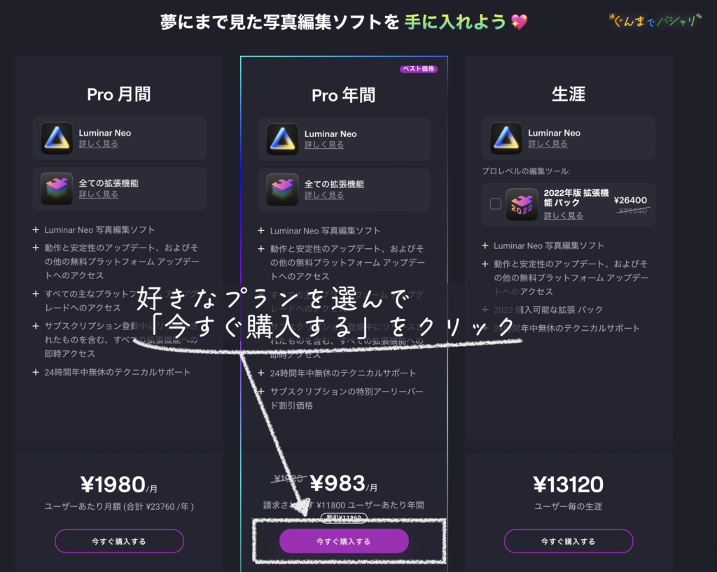 Luminar NEO・拡張機能のお得な買い方｜当ブログ限定-割引プロモーションコード | ぐんまでパシャリ