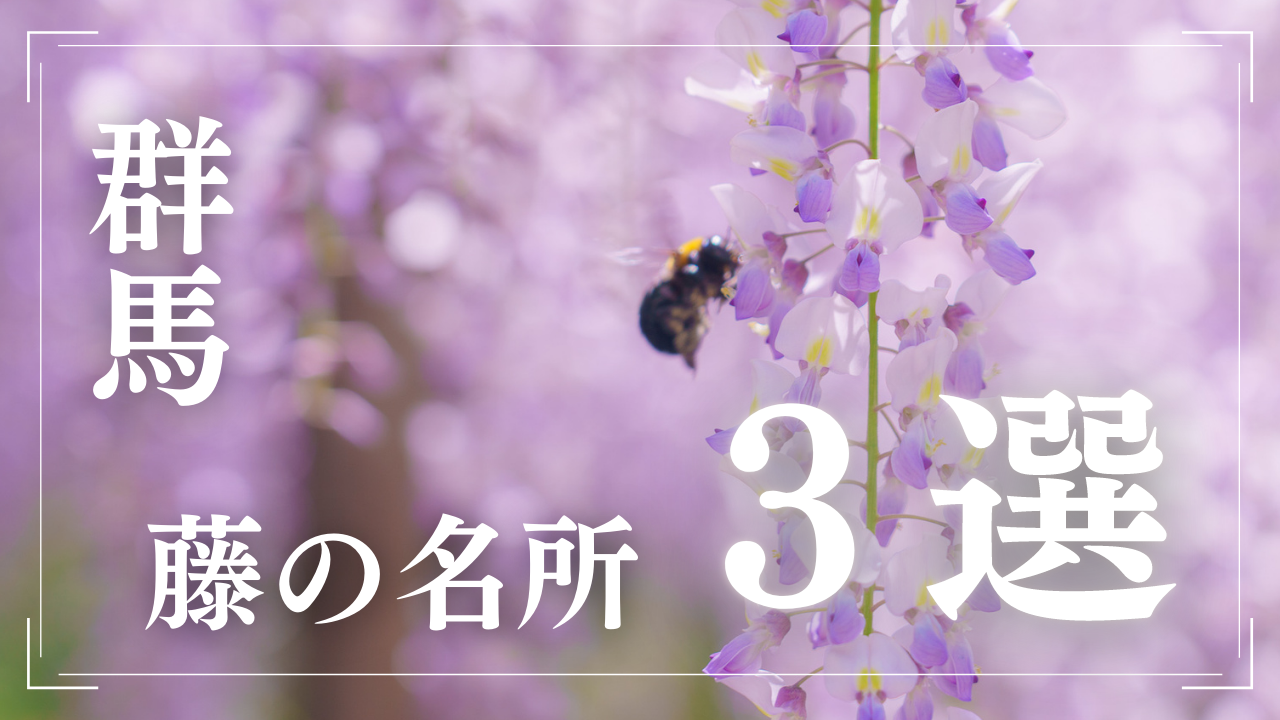 22絶景 群馬で見るべき藤の花の名所３選 地元カメラマンが教える穴場あり ぐんまでパシャリ