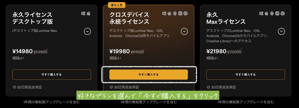 LuminarNeo購入画面